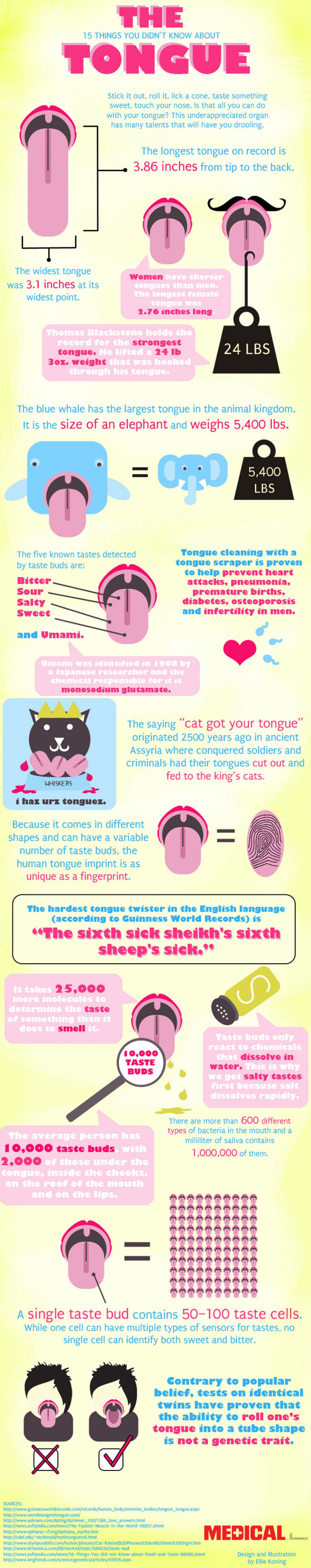 15 Things You Didn’t Know About The Tongue